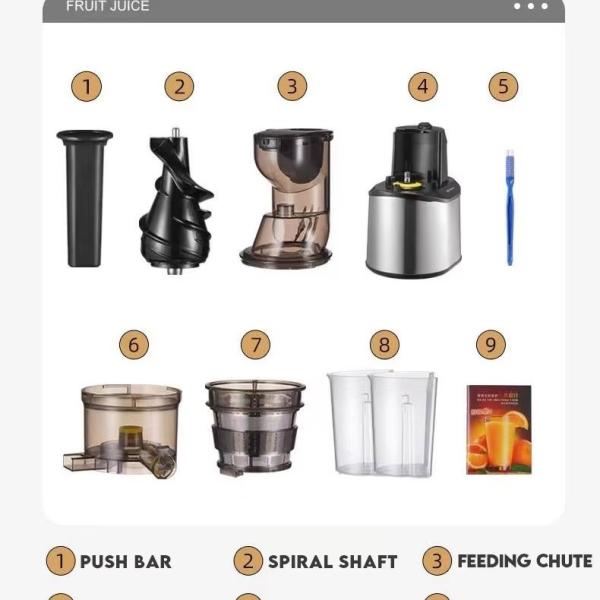 Masticating Juicer