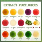 Masticating Juicer