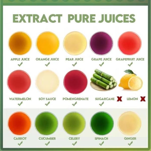 Masticating Juicer