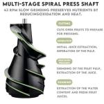 Masticating Juicer