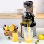Masticating Juicer