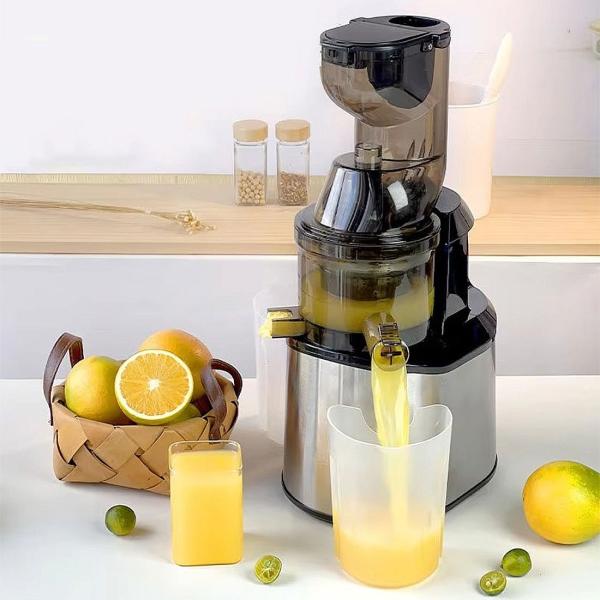 Masticating Juicer