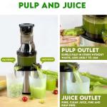 Masticating Juicer