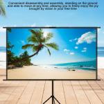 Projector Screens
