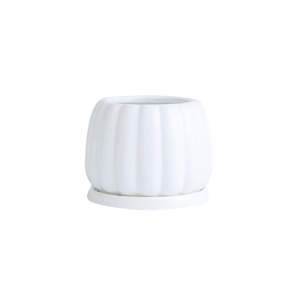 Ceramic Flowerpot With Ceramic Tray
