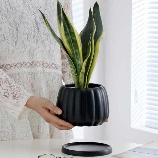 Ceramic Flowerpot With Ceramic Tray