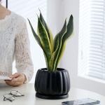 Ceramic Flowerpot With Ceramic Tray