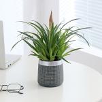 Modern Indoor Ceramic Flowerpot