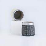 Modern Indoor Ceramic Flowerpot
