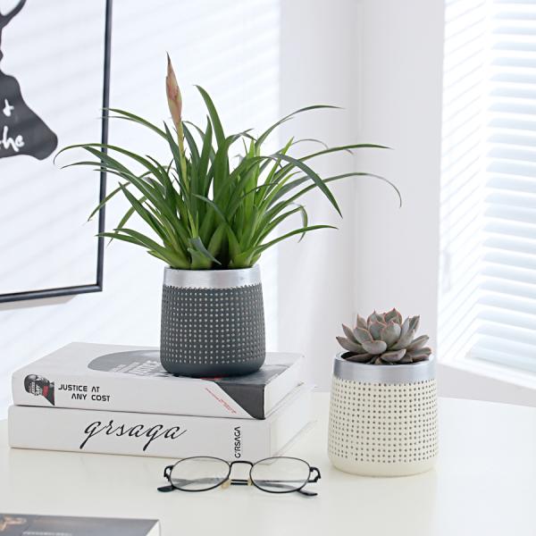 Modern Indoor Ceramic Flowerpot
