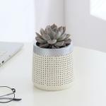 Modern Indoor Ceramic Flowerpot