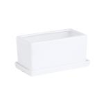 White Ceramic Flowerpot
