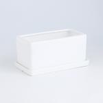White Ceramic Flowerpot
