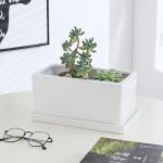 White Ceramic Flowerpot