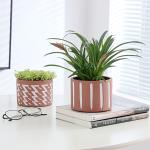 Indoor Flower Pot