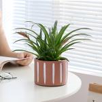 Indoor Flower Pot