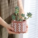 Indoor Flower Pot