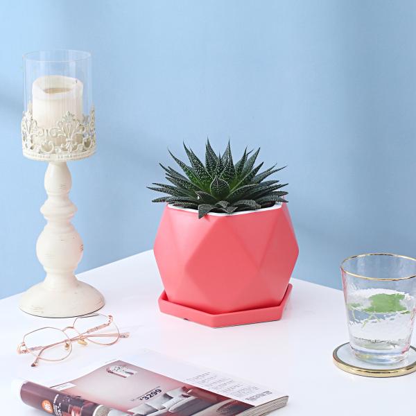 Ceramic Flowerpot With Tray