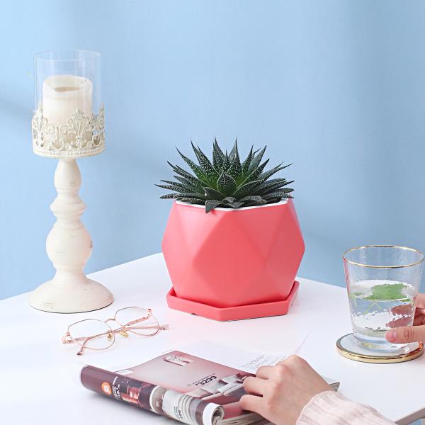 Ceramic Flowerpot With Tray