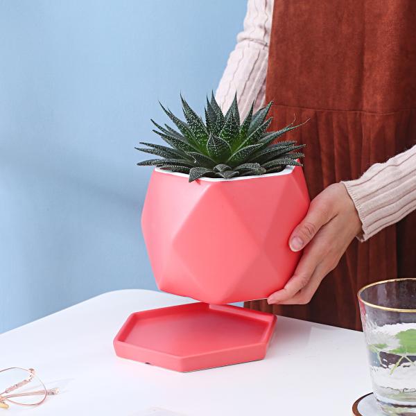 Ceramic Flowerpot With Tray
