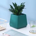 Ceramic Flowerpot With Separating Tray