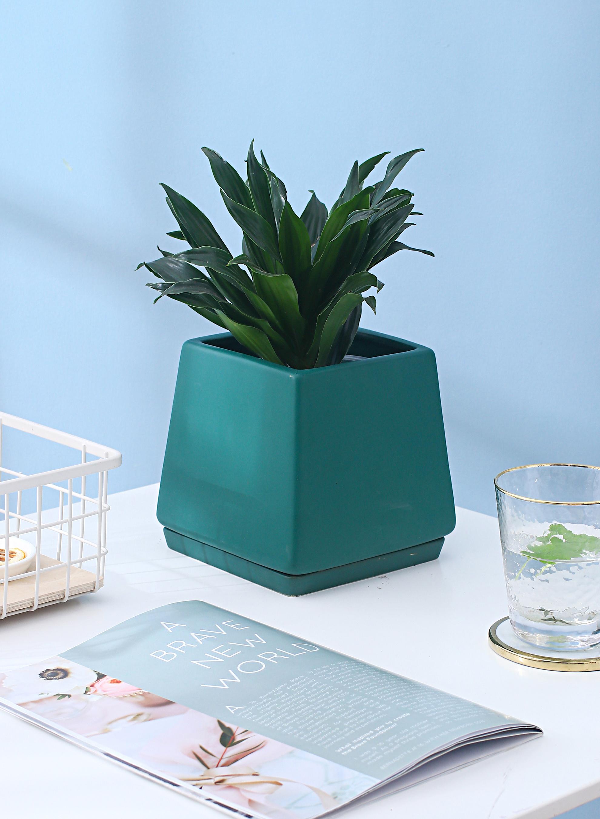 Ceramic Flowerpot With Separating Tray