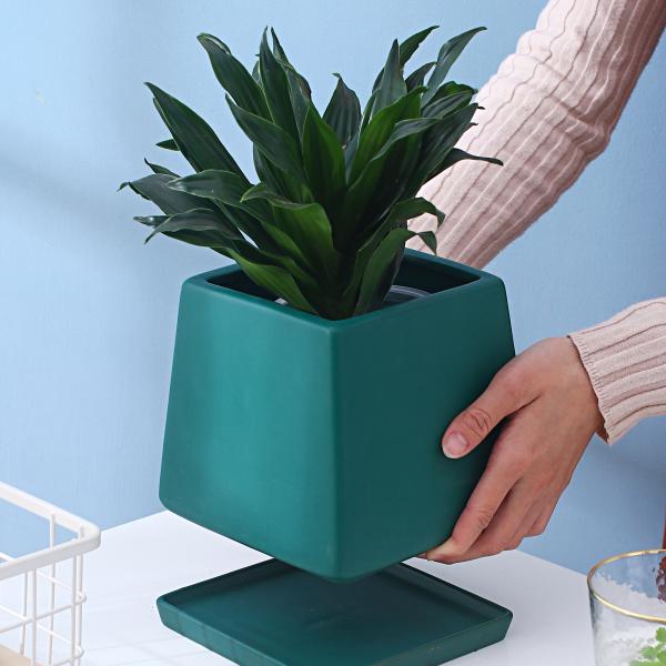 Ceramic Flowerpot With Separating Tray