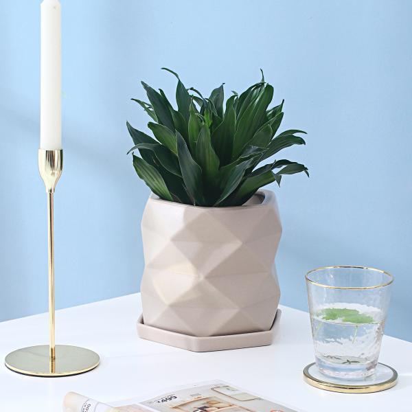 Ceramic Color Glazed Flowerpot With Tray