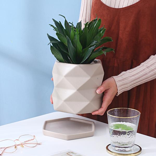 Ceramic Color Glazed Flowerpot With Tray