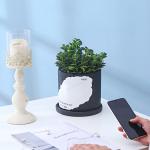 Two-color Splicing Cement Flowerpot