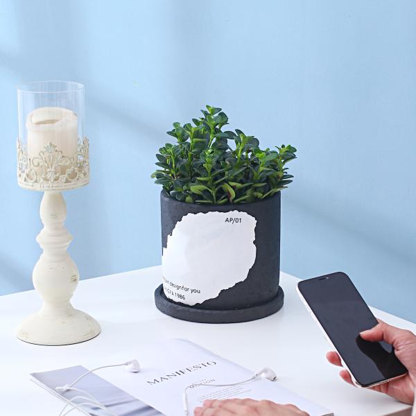 Two-color Splicing Cement Flowerpot