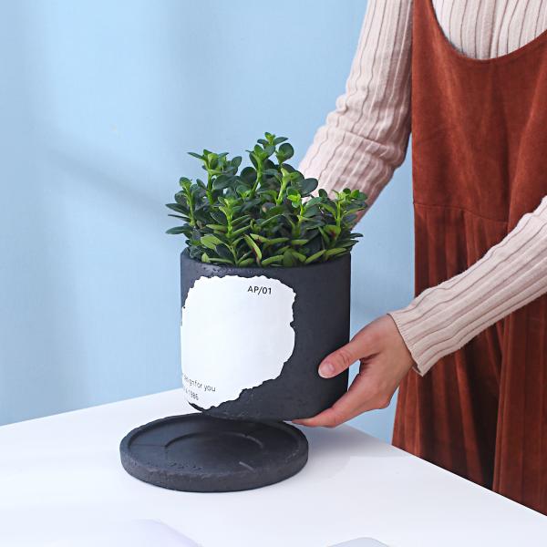 Two-color Splicing Cement Flowerpot
