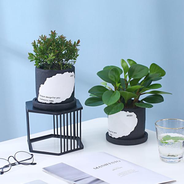 2-piece Cement Flowerpot