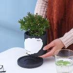 2-piece Cement Flowerpot