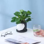 2-piece Cement Flowerpot