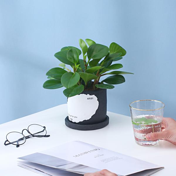 2-piece Cement Flowerpot