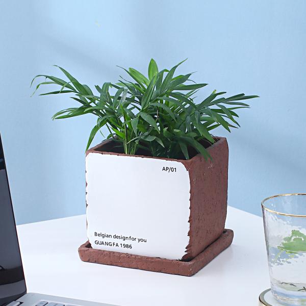 Small Cement Flowerpot