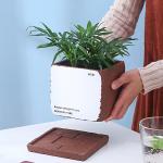 Small Cement Flowerpot