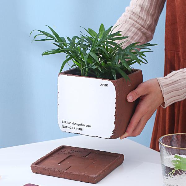 Small Cement Flowerpot