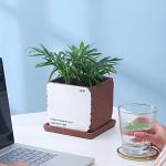 Small Cement Flowerpot