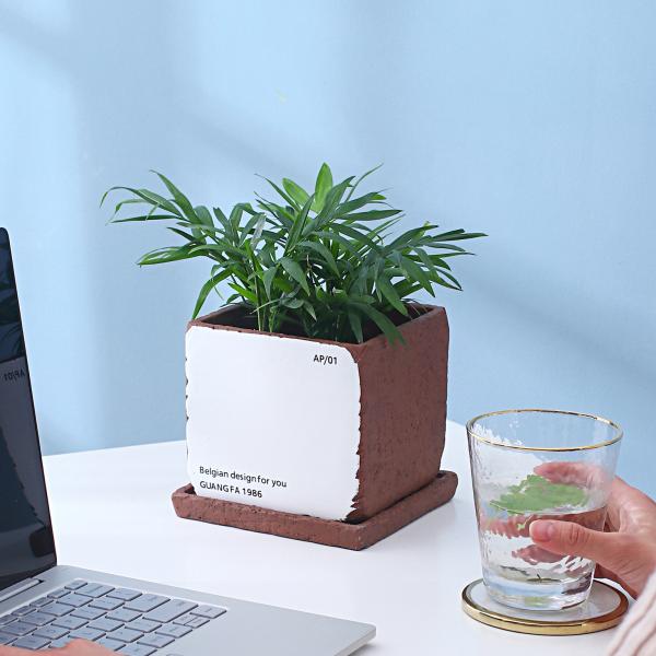 Small Cement Flowerpot