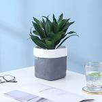 Cement Flowerpot