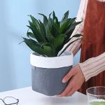 Cement Flowerpot