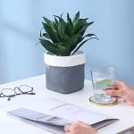 Cement Flowerpot