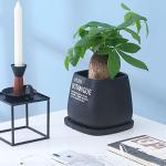 Cement Indoor Flowerpot