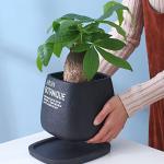 Cement Indoor Flowerpot