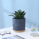 Indoor Cement Flowerpot