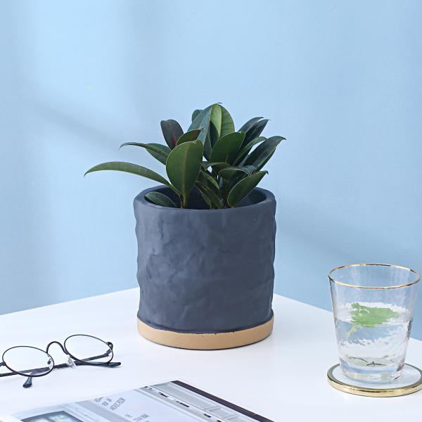 Indoor Cement Flowerpot