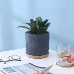 Indoor Cement Flowerpot