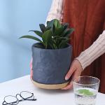 Indoor Cement Flowerpot